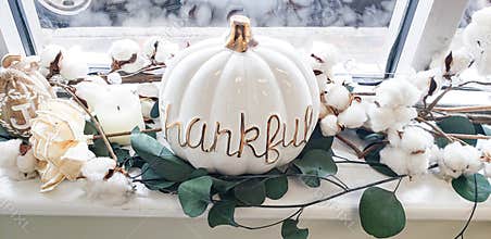 Thankful Gratitude Thanksgiving Autumn Pumpkin