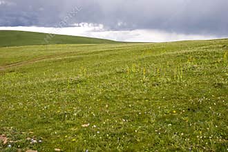Meadow with storm clouds
