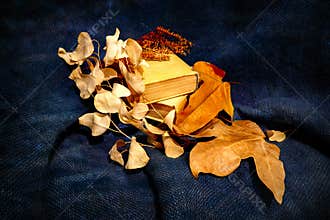 Still life of yellow dry autumn leaves lying on books close up on burlap