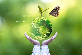 Ecology and Environment Earth.  Planet and tree with butterfly in human hands over green nature ecology, Save the earth concept,