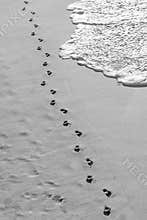 Footprints on the shoreline of a beautiful tropical beach in black and white