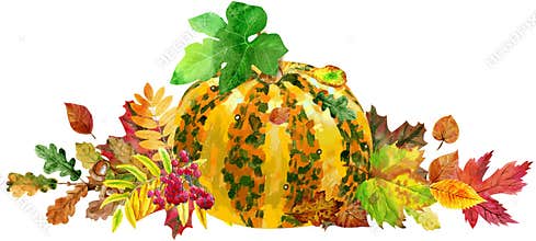 Horizontal composition of striped pumpkin and autumn leaves