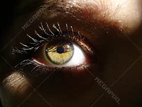 Green eye in shadow