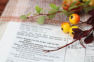 Thanksgiving Scripture