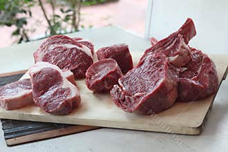 Fresh Meat