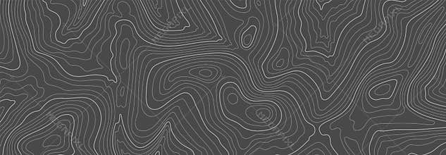 Gray topographic line contour map background, geographic grid map