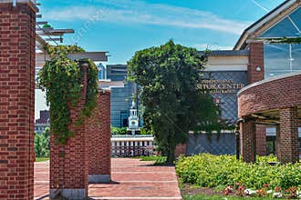 Ivy draped over bricks of Independence Visitor Center Philadelphia, Pennsylvania with Independence Hall in the background
