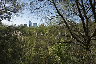Urban nature, modern buildings seen from a natural environment