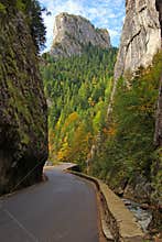 Bicaz gorge: curved road and vertical walls