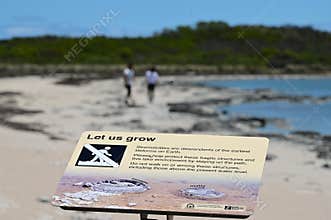 Bad behaviour tourist walking on Stromatolites in Lake Thetis Cervantes Western Australia
