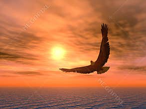 Eagle_variant