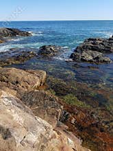 Acadia National Park, Maine, cliff and rocky coast