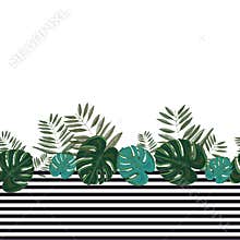 Hand drawn artistic monstera and palm leaves. Border design tropical seamless pattern with stripes