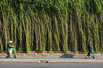 Green urban life at the city