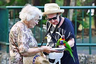 Elderly mother senior daughter feeding Rainbow Lorikeet birds Gold Coast