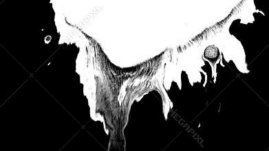 Bloom ink. Beautiful white watercolor ink drops transition on black background