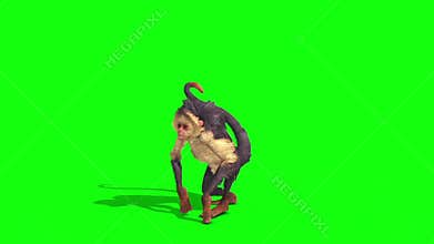 Monkey Turn Green Screen 3D Rendering Animation