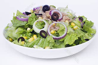 Fresh salad