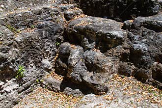 Archaeological Site: El Mirador, the cradle of Mayan civilization and the oldest mayan city in history