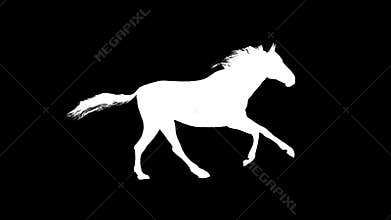 White horse running silhouette seamless loop new quality unique animation dynamic joyful 4k video stock footage