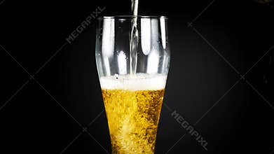 Beer ale. Freshly brewed beer is poured into a beer glass