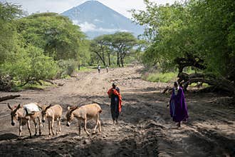 TANZANIA, NATRON LAKE - JANUARY 2020: Maasai shepherd people in traditional cloth walking near Lake Natron and Ol Doinyo