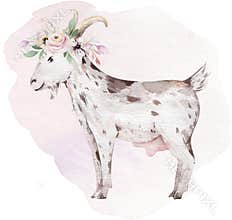 Farms animal isolated set. Cute domestic farm pets watercolor illustration. Goat and duck baby cartoon drawing.