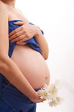 Pregnancy