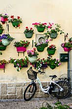 Bicycle parked against a bright wall with pots of flowers