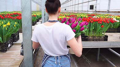 A young woman works in a flower greenhouse.