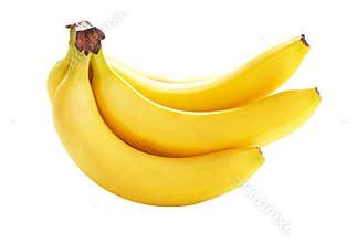 Bananas isolated