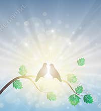 Love birds on a branch in the sun light rays, purity