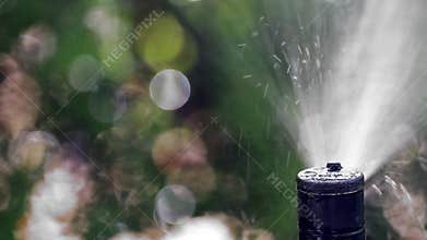 Automatic moving sprinkler spraying water