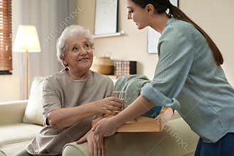 Young woman serving dinner for elderly woman in room. Senior people care