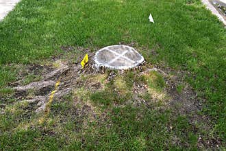 Stump waiting for removal