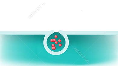 Exocytosis. cell transports molecules out of the cell