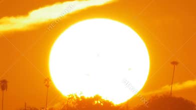 Sun rising close up behind palm trees