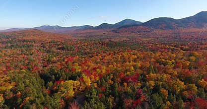 White mountain fall foliage, New Hampshire NH, USA.