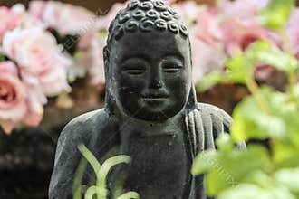 Garden Buddha