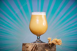 Delicious Hazy Craft Beer India Pale Ale Bright Background
