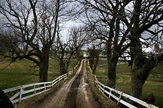 Pennsylvania dairy farm driveway with white fences.