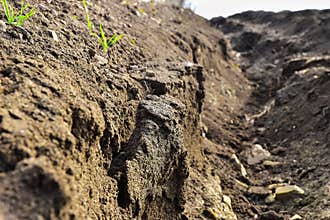 Soil abrasion erosion