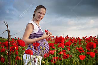 Pregnant young woman in a field of puppies