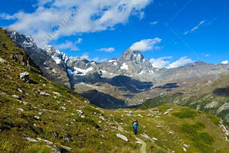 Lonely tourist walking in green alpine Aosta valley with Matterhorn on background