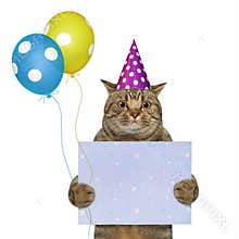 Cat with blank holiday poster