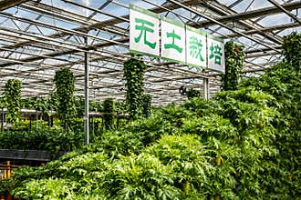 Scene of the plant exhibition area of the 19th China Changchun International Agriculture•Food Expo Trade