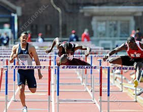 110 meter hurdles at the 2011 Penn Relays