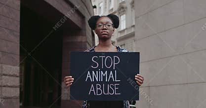 Afro american woman holding placard with stop animal abuse writing while standing at city street. Young girl striking