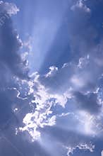 Sun Rays