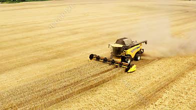 Wheat field combine harvesters plant farm industry sun summer agronomist nature autumn harvesting 4K aerial countryside